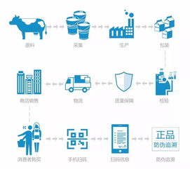 食品安全與網(wǎng)絡(luò)工程 科技護(hù)航健康餐桌